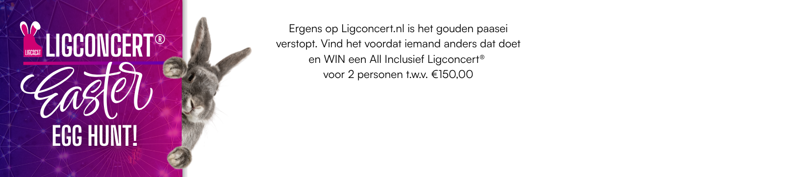 Banner Easter Egg Hunt